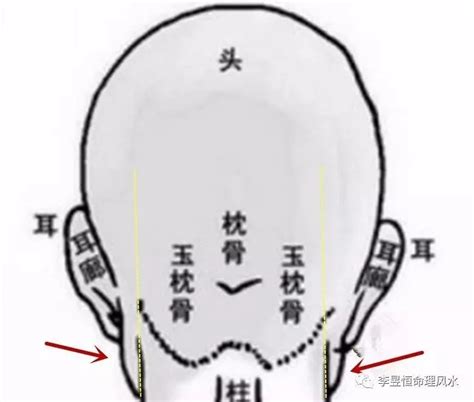 辛酉年五行 耳後見腮